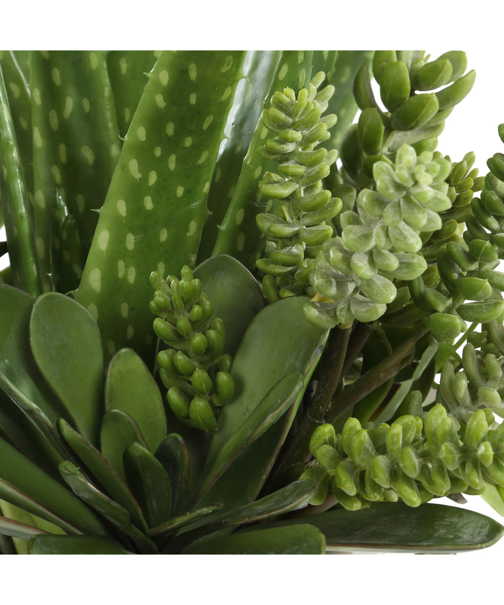 Sundown Succulent Accent Planter