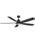 Bodin 64" LED Smart Fan Matte Black