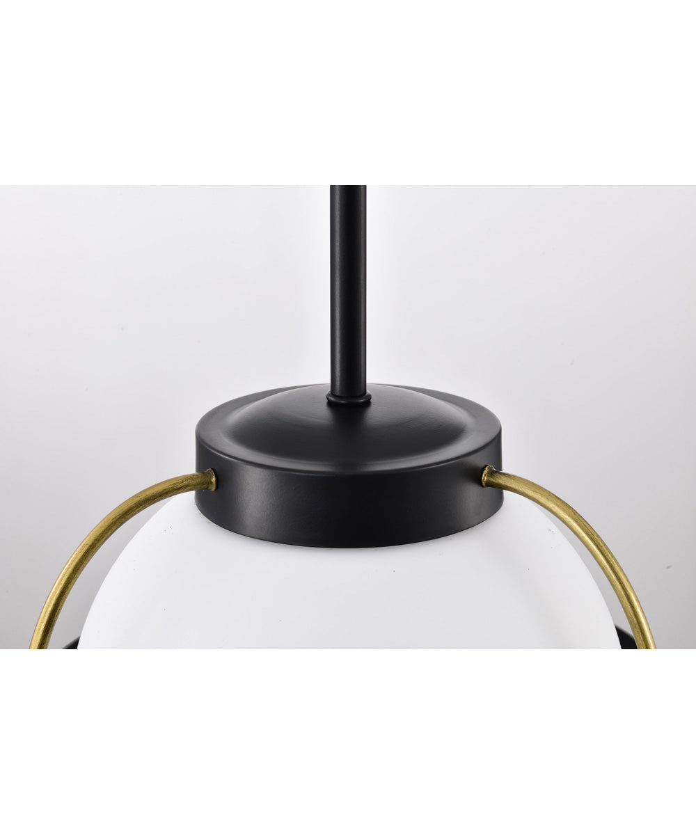Lakeshore 1-Light Pendant Matte Black