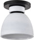 Collins 1-Light Close-to-Ceiling Matte Black