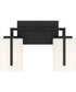 Cambria 2 Light Vanity Matte Black