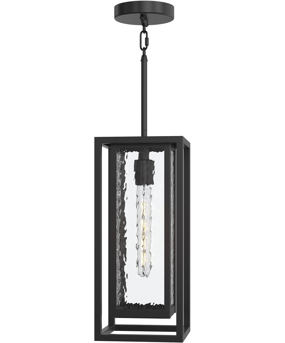 Shaw 17 Inch 1 Light Outdoor Pendant with Clear Glass Textured Black