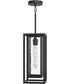 Shaw 17 Inch 1 Light Outdoor Pendant with Clear Glass Textured Black