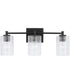 Emerson 3-Light Vanity Matte Black