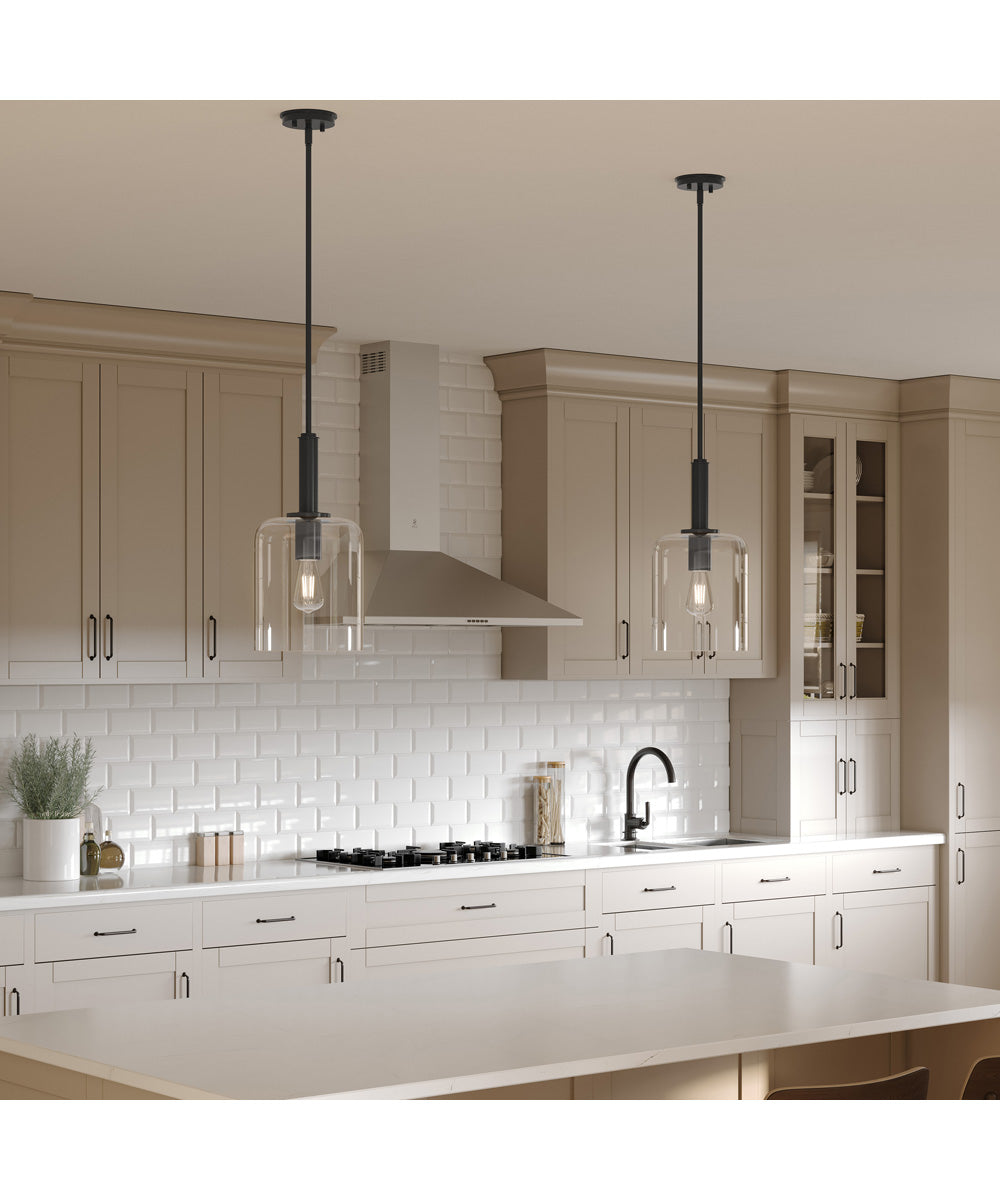 Reines 1-Light Pendant with Clear Glass Shade Matte Black