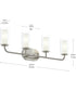 Mack 4-Light Vanity Light with Layered Glass Shades Brushed Nickel