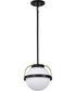 Lakeshore 1-Light Pendant Matte Black