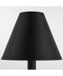 Waltz 1-light Wall Mount Light Fixture Matte Black