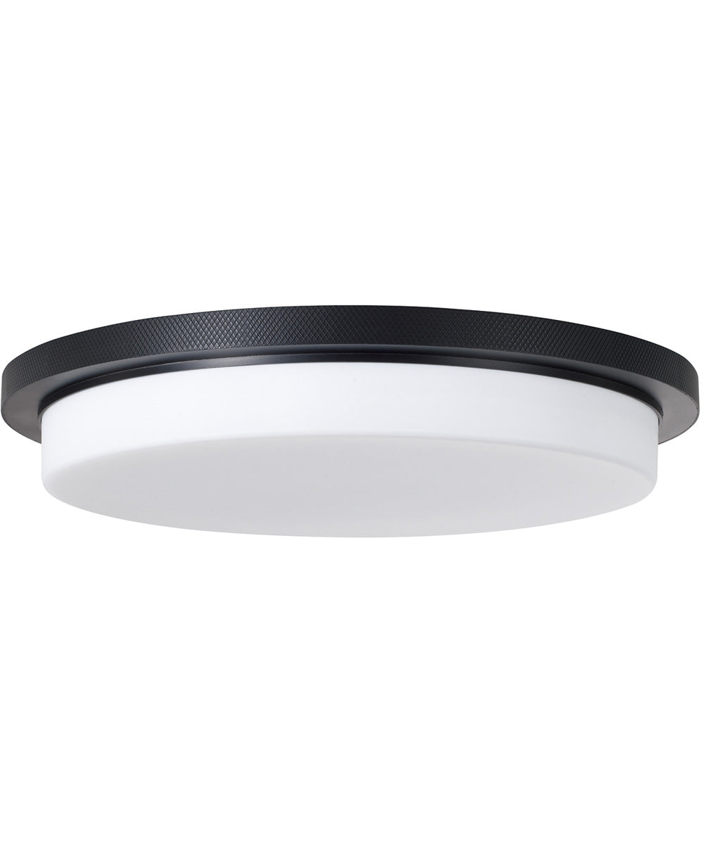 Dominic 1-Light Flush Matte Black