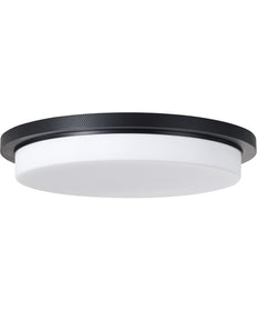 Dominic 1-Light Flush Matte Black