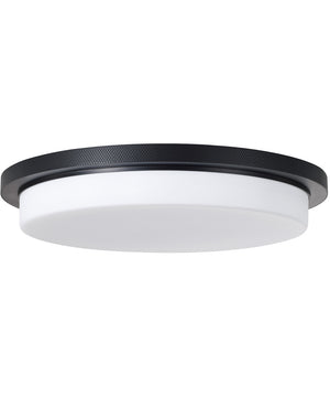 Dominic 1-Light Flush Matte Black