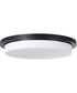 Dominic 1-Light Flush Matte Black