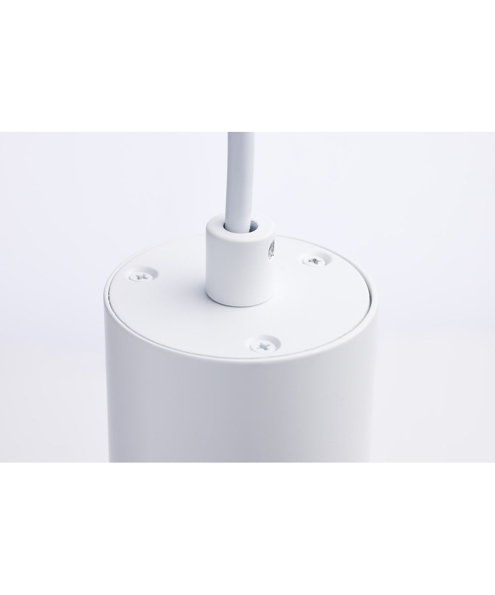 Century  Pendant Matte White