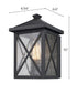 Leonis 10"High 1-Light Black Finish with Seeded Glass Shade Outdoor Wall Lantern