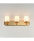 Durham 3-Light Strip Bath Vanity Natural Aged Brass