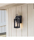 Wilton 1-Light Outdoor Matte Black