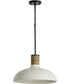 Destin 1-Light Pendant Dark Pewter