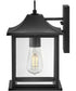 Nolan 1-Light Small Wall Mount Lantern in Black
