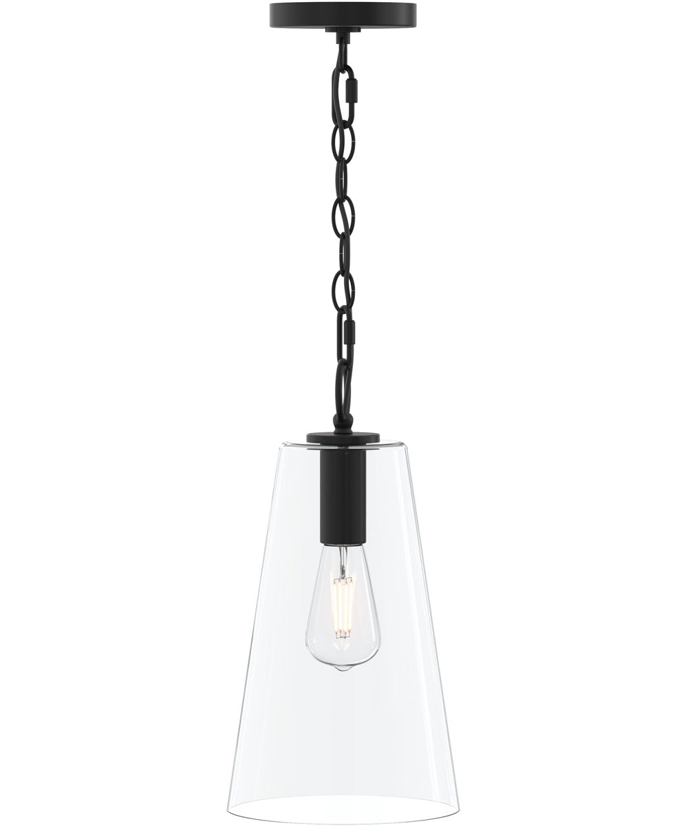 Jheni 1-Light Pendant with Clear Glass Shade Matte Black