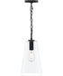 Jheni 1-Light Pendant with Clear Glass Shade Matte Black