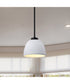 Collins 1-Light Pendant Matte Black