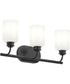 Reines 3-Light Bath Vanity with Opal Glass Shades Matte Black