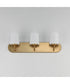 Durham 3-Light Strip Bath Vanity Natural Aged Brass