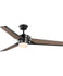 Ceiling Fans with Remotes