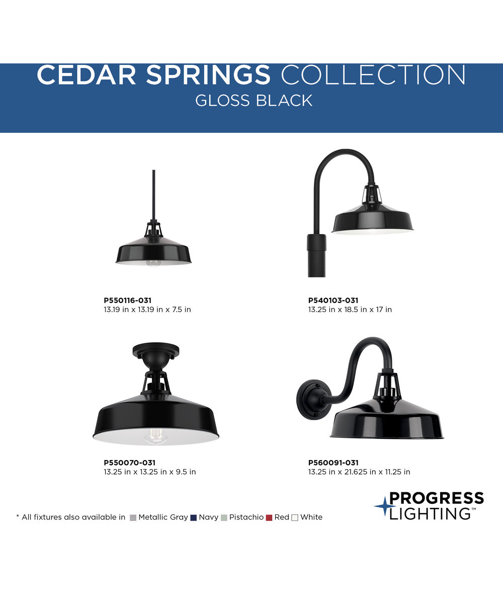 Cedar Springs 1-Light Post Lantern Gloss Black