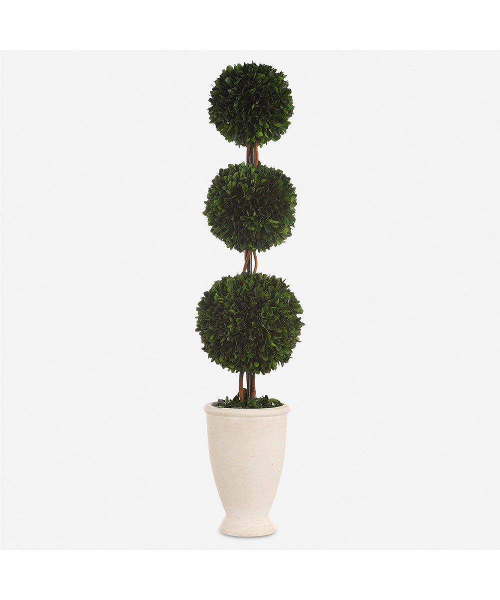 Preserved Boxwood Triple Topiary