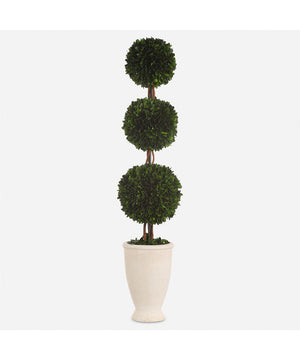 Preserved Boxwood Triple Topiary