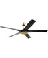 Fonz 65" Indoor Ceiling fan with 5-blades 1-Light Fan Satin Brass
