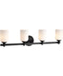 Solara 4-Light Vanity & Wall Matte Black