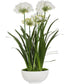 Purity Agapanthus Centerpiece