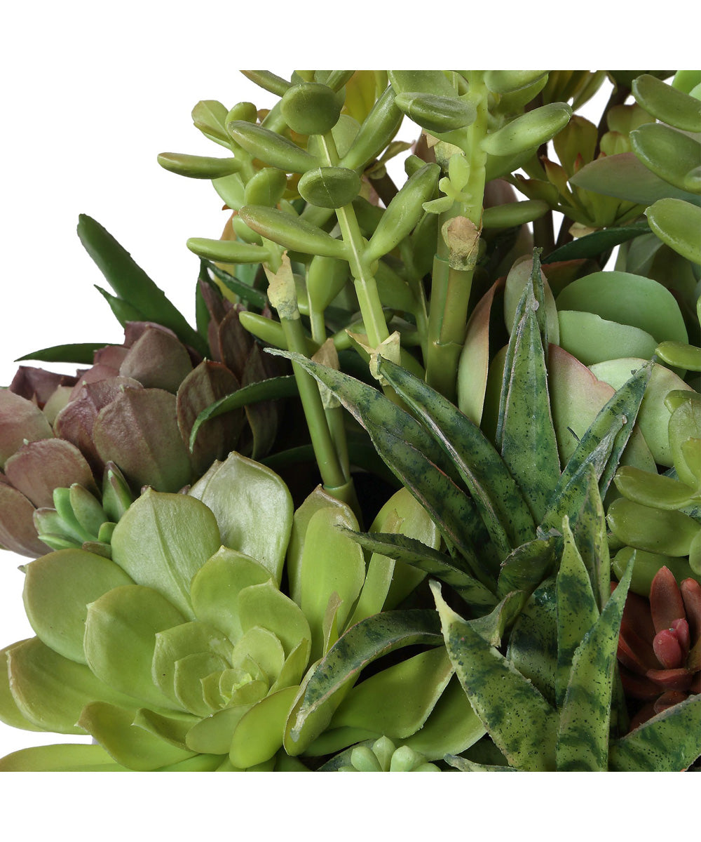 Mico Indoor-Outdoor Succulent Centerpiece