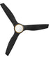 Talan 64" LED Smart Fan Heritage Brass