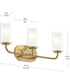 Mack 3-Light Vanity Light with Layered Glass Shades Brushed Gold