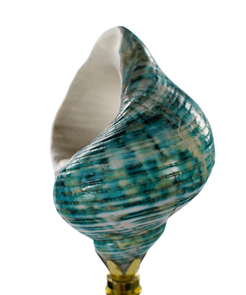 LampsUSA Finials Sea Foam Turbo Sea Shell Finial S