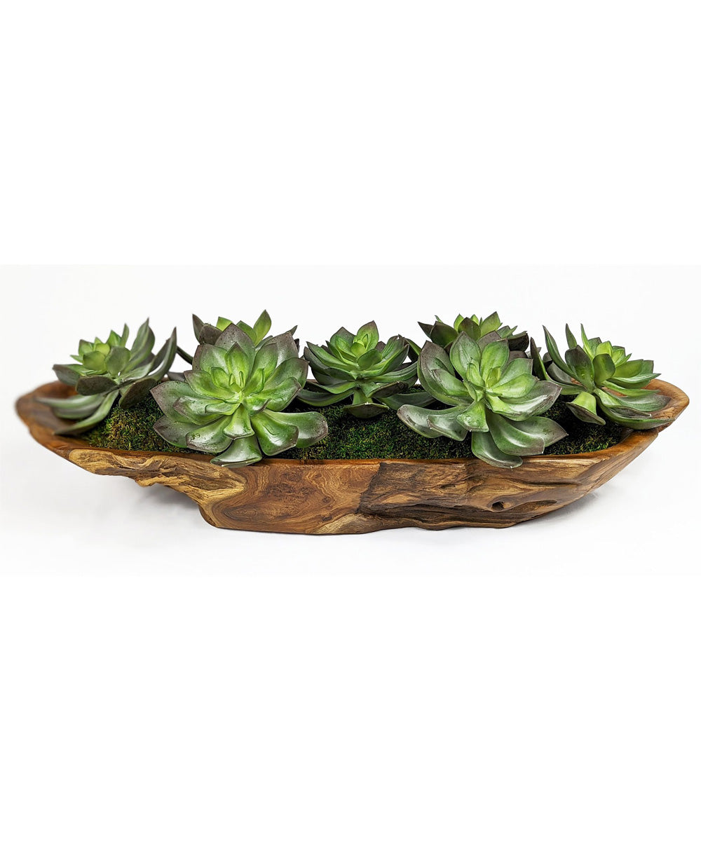 Yuma Succulent Centerpiece