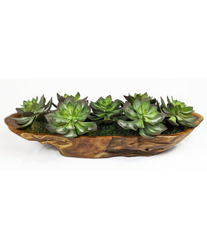 Yuma Succulent Centerpiece