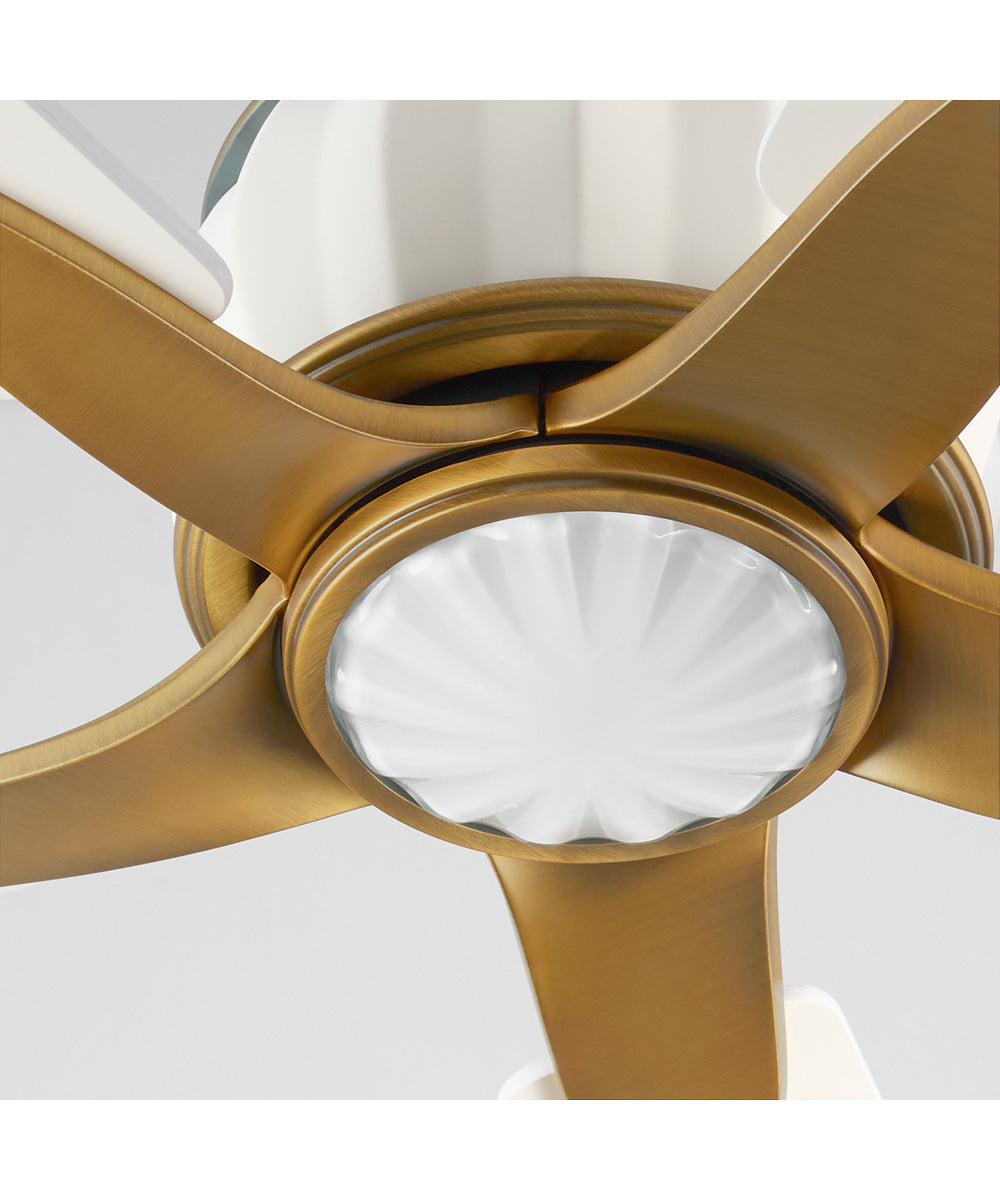 Ophelia Ceiling Fan Studio White|Brushed Brass