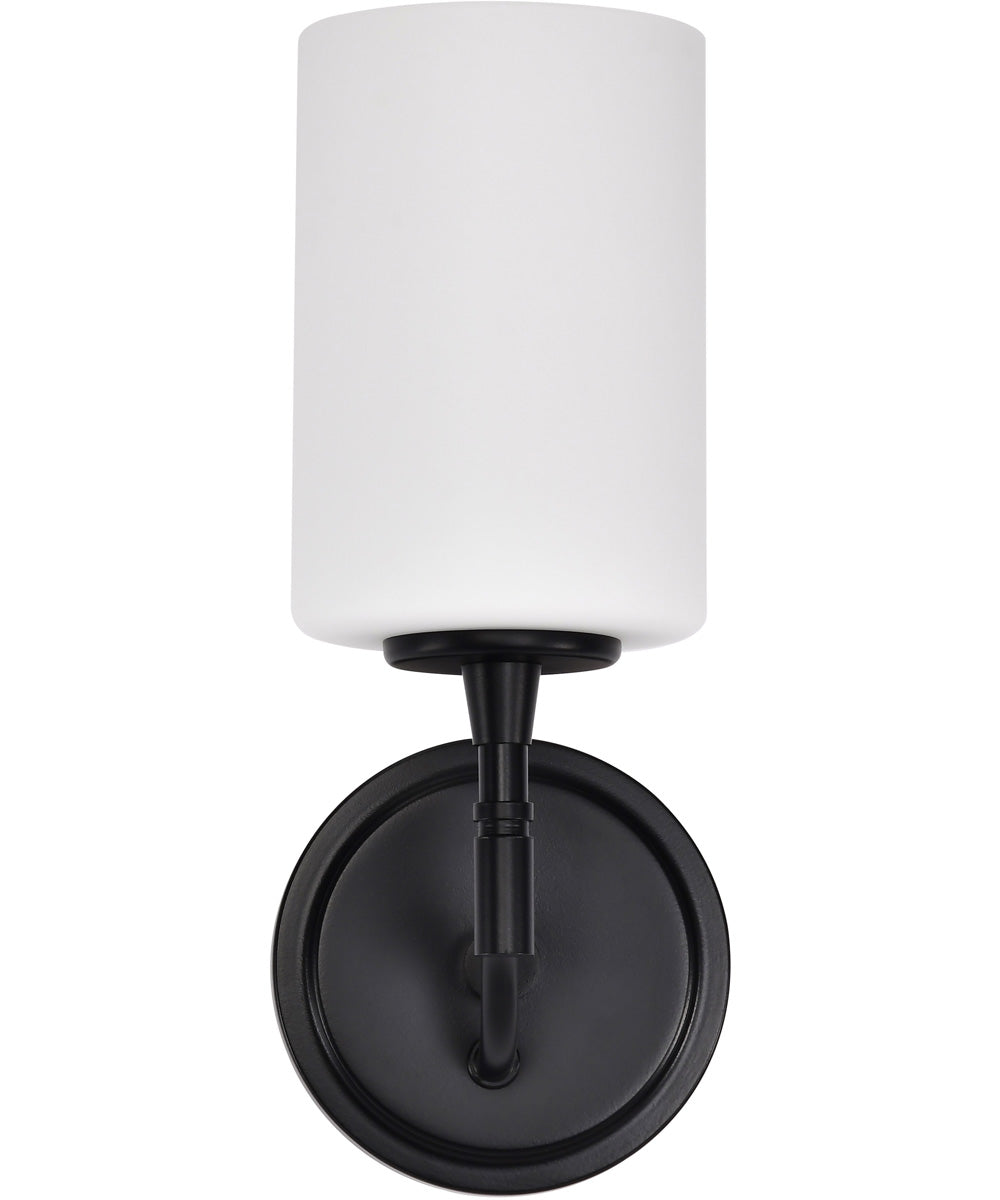 Liam 1-Light Vanity & Wall Matte Black