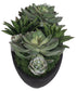Verde Succulent Centerpiece In Bowl