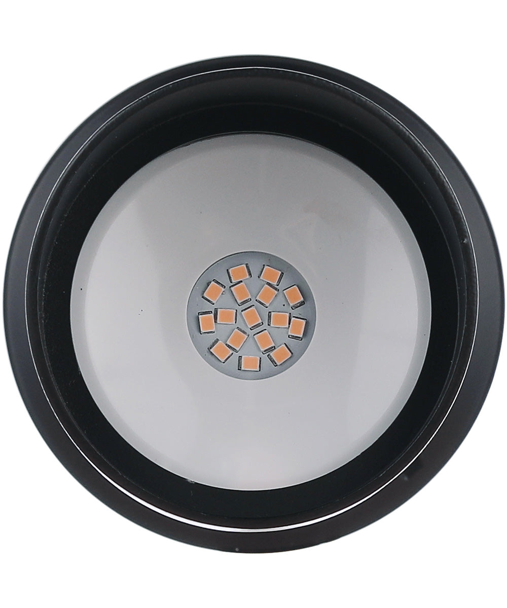 LED Flood Outdoor Lighting Midnight