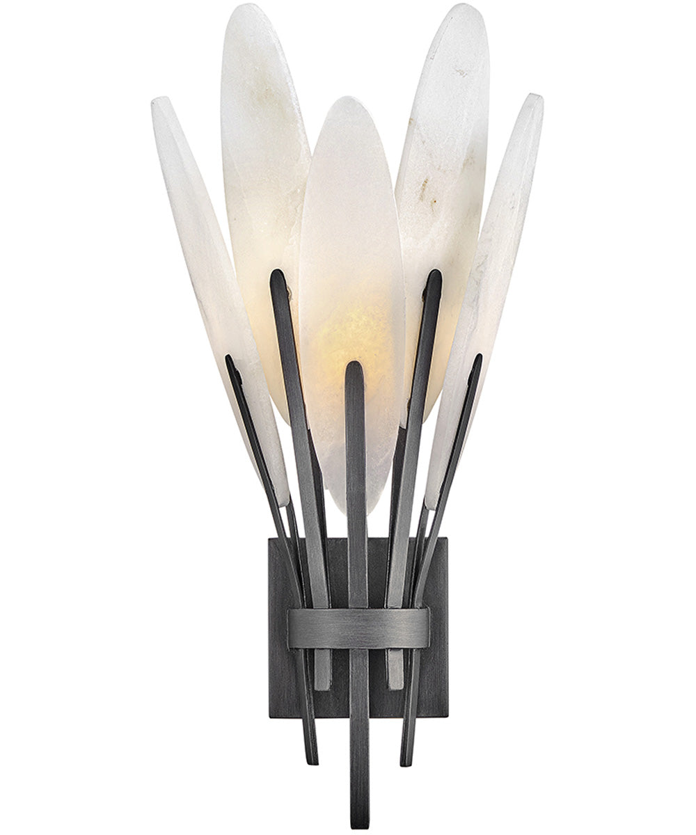 Nerine 1-Light Large Sconce in Brushed Graphite