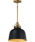Hollis 12 inch Pendant Natural Aged Brass