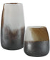 Desert Wind Glass Vases, Set of 2