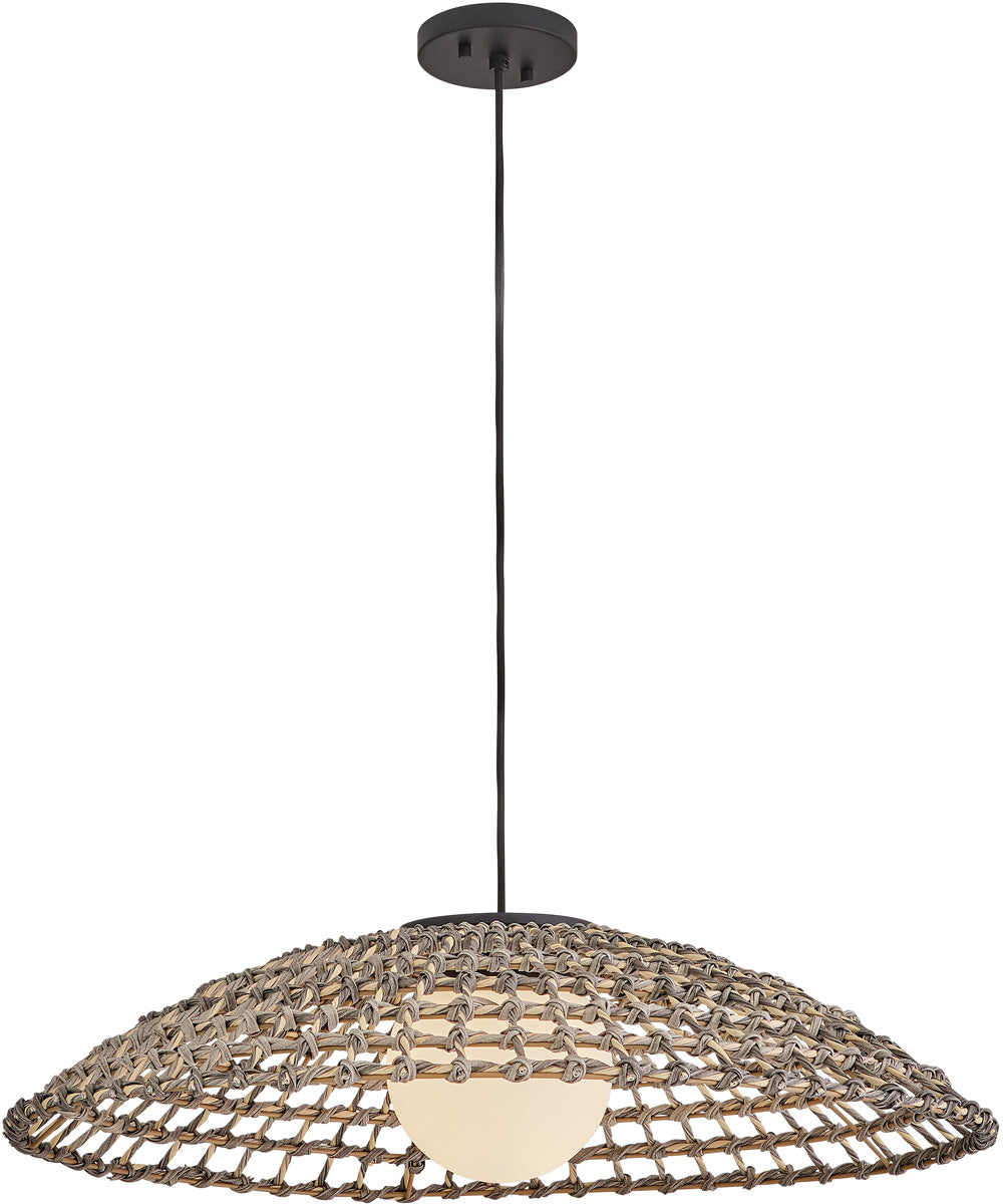 Arlen 1-Light Large Hanging Pendant in Black