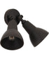 Flood Light 2-Light Outdoor Lighting Dark Textured Bronze