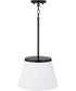 Drake 1-Light Pendant Matte Black